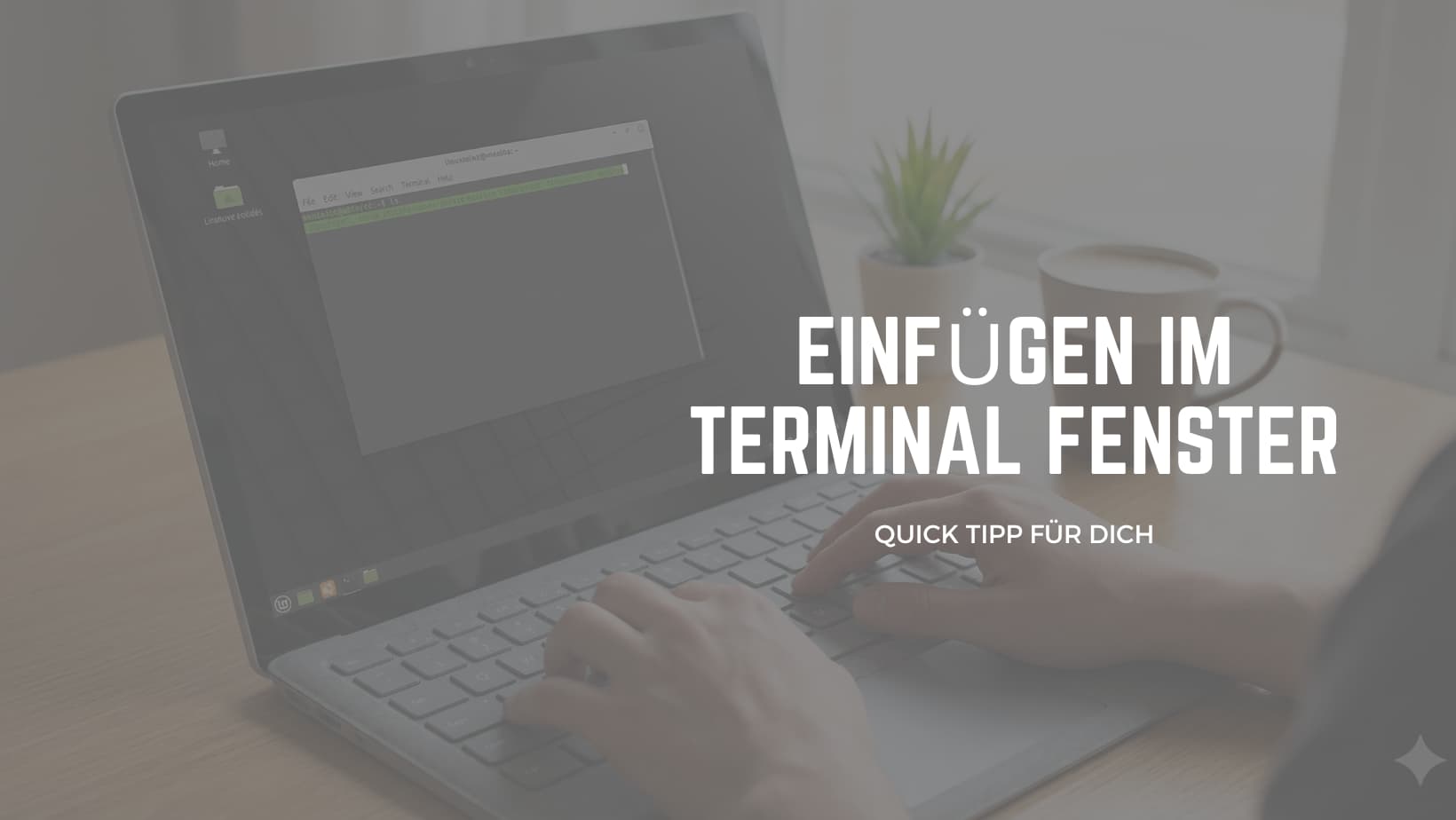 Einfügen im Terminal Fenster